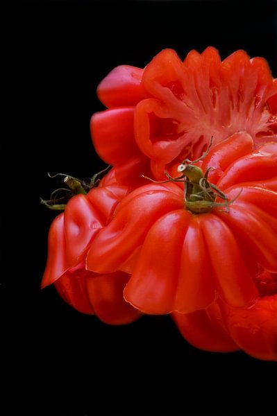 tranches de tomates par Vera Zuur