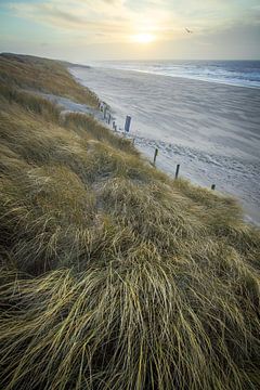 Strand en duin, zee en wind, golven langs de kust!
