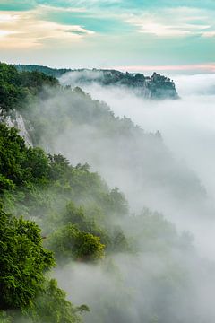 Brouillard dans la vallée du Danube