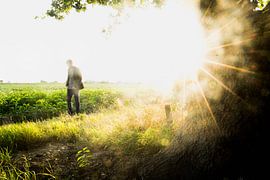 Goldener Lichtweg von DiJa Photography