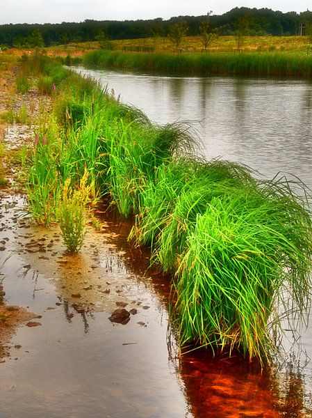 Riet Landschap van Edgar Schermaul