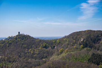 Prachtig uitzicht op de Drachenfels in het Siebengebergte van David Esser