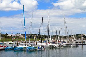 Catamarans in de haven