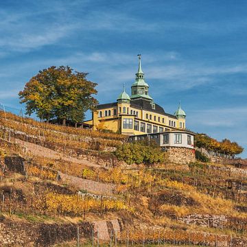 Spitzhaus Radebeul von Gunter Kirsch