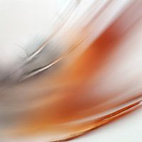 Contradictions Three