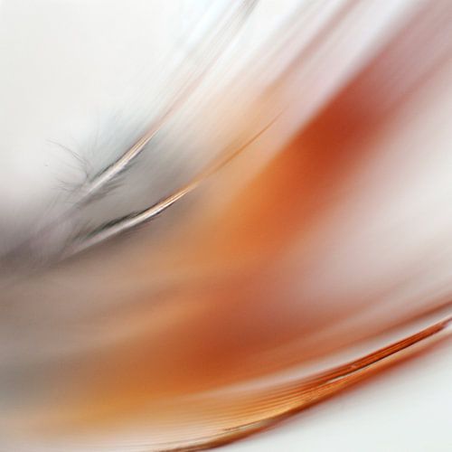 Contradictions Three