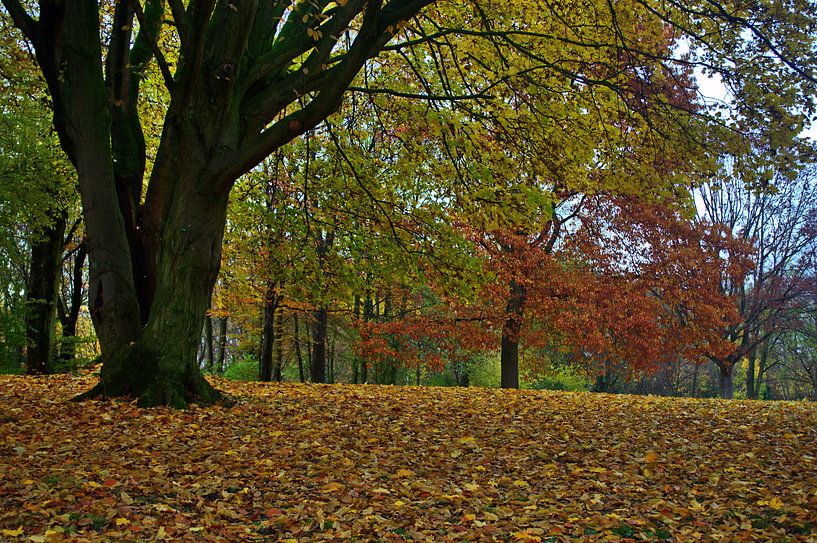 Bladeren 8 van Edgar Schermaul