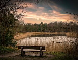 Bankje natuurgebied in Duinen van Voorne van Marjolein van Middelkoop