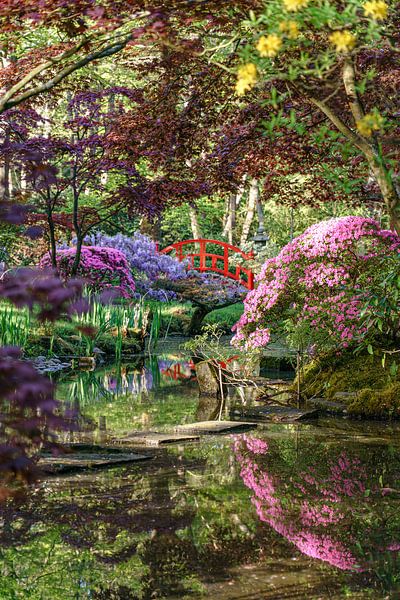 Clingendael Estate's Japanese Garden. by Jaap van den Berg