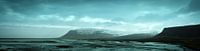 Panorama van een prachtig stuk kustlijn in IJsland