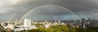 Panorama van Rotterdam met regenboog von Michel van Kooten Miniaturansicht