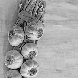 Garlic van Carla Mesken-Dijkhoff