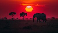 Lone elephant in africa panorama sunset red-yellow by TheXclusive Art thumbnail