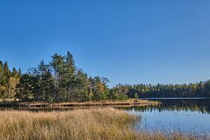 Swedish lake at rest by Geertjan Plooijer