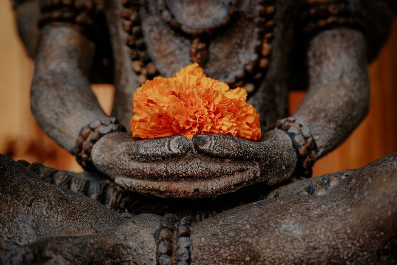 Buddha mit orangefarbener Blume in gefalteten Händen von Jeroen Langeveld, MrLangeveldPhoto