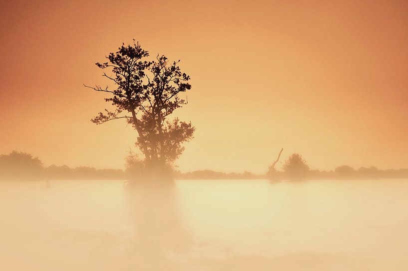 Brume du matin par Paul Arentsen