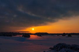 Paysage hivernal enneigé au coucher du soleil au Hulshorsterzand dans la réserve naturelle de Veluwe sur Sjoerd van der Wal Photographie