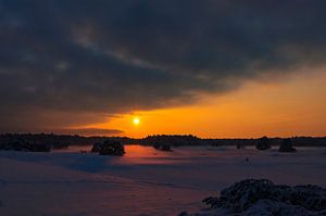Verschneite Winterlandschaft bei Sonnenuntergang auf dem Hulshorsterzand im Naturschutzgebiet Veluwe