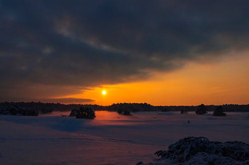Paysage hivernal enneigé au coucher du soleil au Hulshorsterzand dans la réserve naturelle de Veluwe