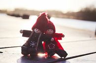 Twee vrienden in de zon von Brenda van den Berg Miniaturansicht