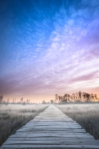 Lever du soleil d'hiver au Limbourg sur Jeroen Mikkers