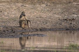 Herr Idontcare von BL Photography