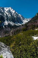 Tatra gebergte Slowakije