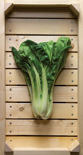 Paksoi in Veilingkrat