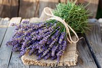 Lavendel stilleven op houten tafel