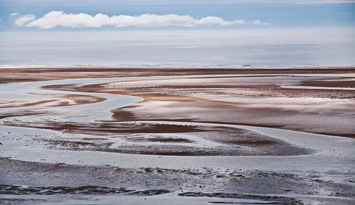 Landschap IJsland Raudasandur