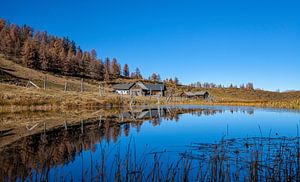 Die Lackenalm und der kleine blaue Teich