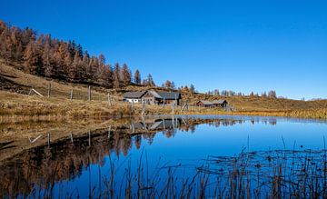 L'alpage Lackenalm et le petit étang bleu sur Christa Kramer