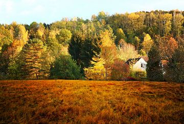 Herbsthaus von Heike Hultsch