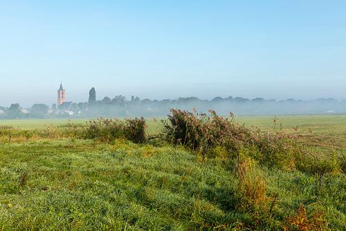 Nederlands polder landschap in de zomer.