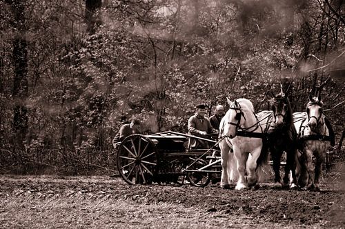 zaaien met het driespan