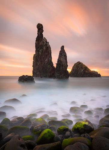 The Guardians in Ribeira de Janelo op Madeira