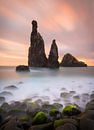 The Guardians in Ribeira de Janelo on Madeira by Jos Pannekoek thumbnail