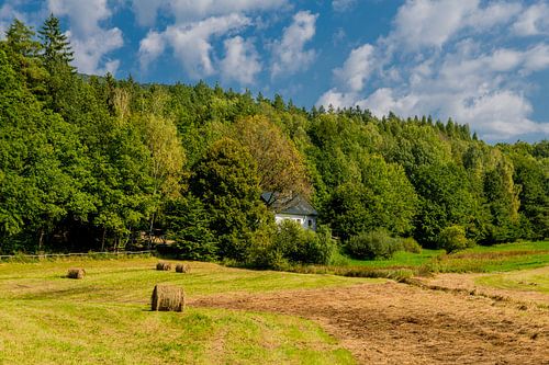 Ontspannen nazomerwandeling op de Rennsteig/Thuringische Wald