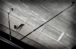 Der Radfahrer