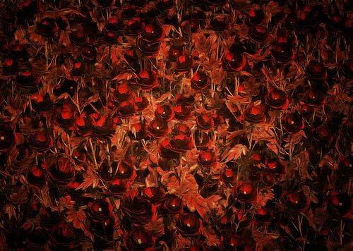 Roses – Deep secret roses