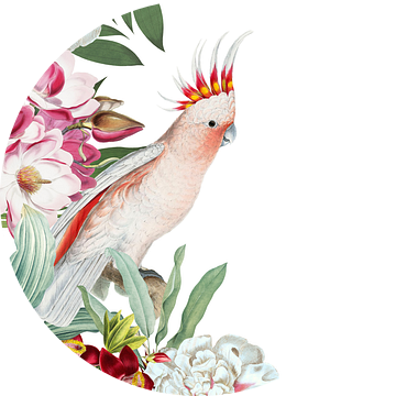 Vintage tropische vogel in bloem Jungle van Floral Abstractions