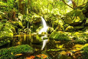 Wasserfall auf Madeira