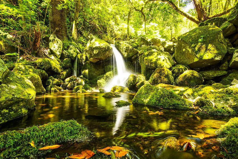 Madeira waterfall by Leo Schindzielorz