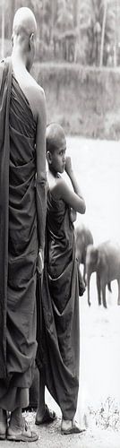 Panel 2 of a diptych Monks watch as young elephants are washed