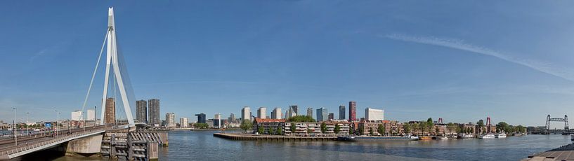  Rotterdam skyline with northern island and 3 bridges. by Hille Bouma
