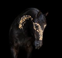 goud fries paard
