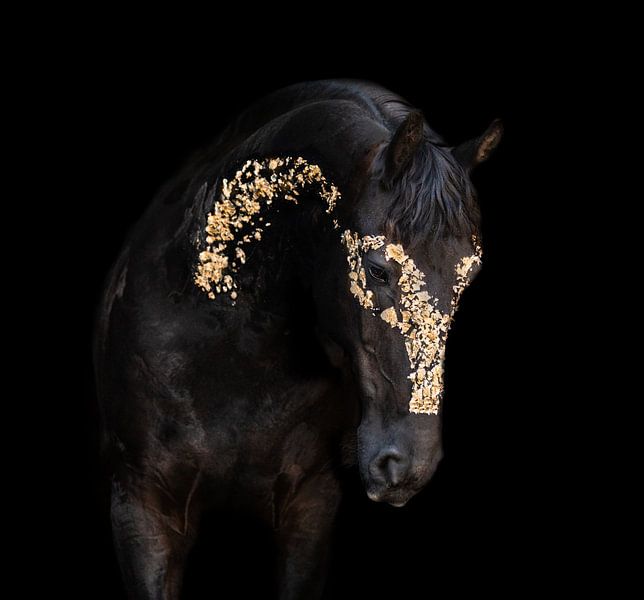 Gold-Fries-Pferd von Kim van Beveren