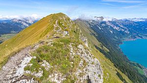 Suggiture et l'Augstmatthorn près d'Interlaken, Suisse