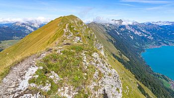 Suggiture and the Augstmatthorn near Interlaken, Switzerland
