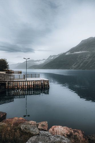 Fjordreflectie van Bart Sallé